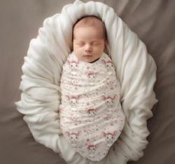 MINI BISCUIT - MOUSSELINE SOURIS (LANGE)